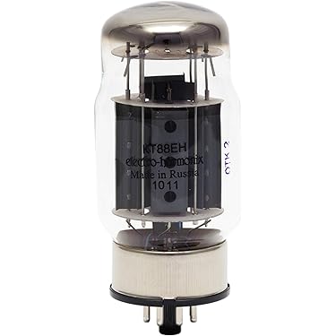 E406N 真空管 2本セット RSD E406N 真空管 2本セット RSD - メルカリ